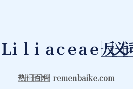 Liliaceae反义词是什么意思的图片